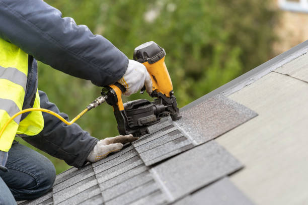 Best Roof Maintenance and Cleaning  in Shenandoah Farms, VA